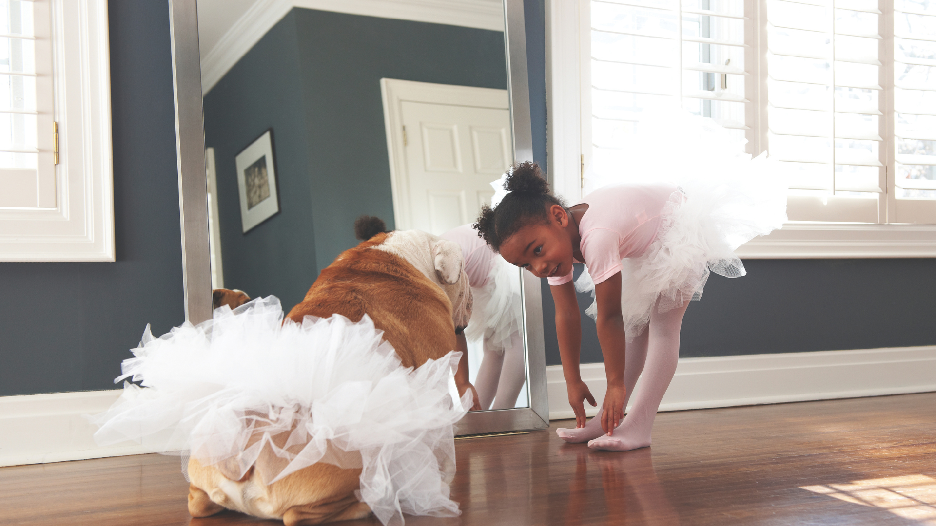 shutters in living area with child and dog